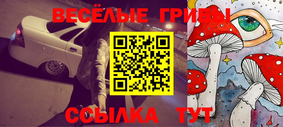 Елец  Псилоцибиновые грибы Cubensis  Вход с VPN 